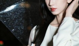 伊人国产视频,倾情演绎东方韵味，展现独特魅力